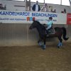 Ponyralley 071